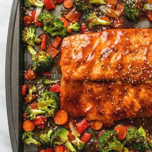 Teriyaki Salmon Vegetables 102 500x500 1 1 20230610 001535